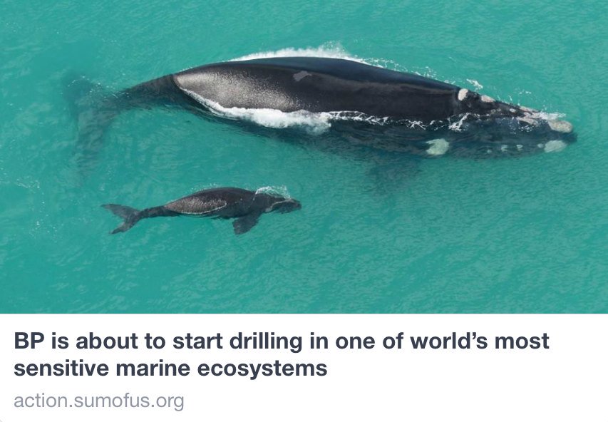biancabeyer's tweet photo. Please sign .@BP_Australia stop your plans to drill in the #AustralianBight immediately. https://t.co/8fv5ZsZhqV https://t.co/JUlwwIILad