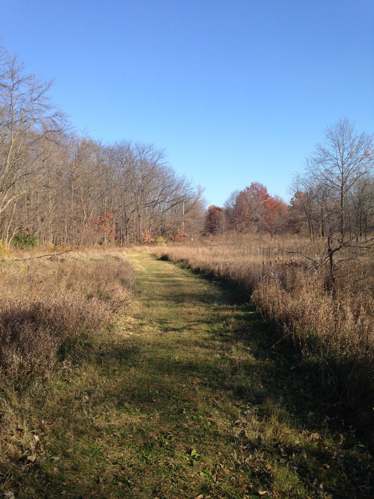 CoachPaulsen's tweet photo. One of our favorite late season training locations. #UNIXC https://t.co/eRMdpPhL3P