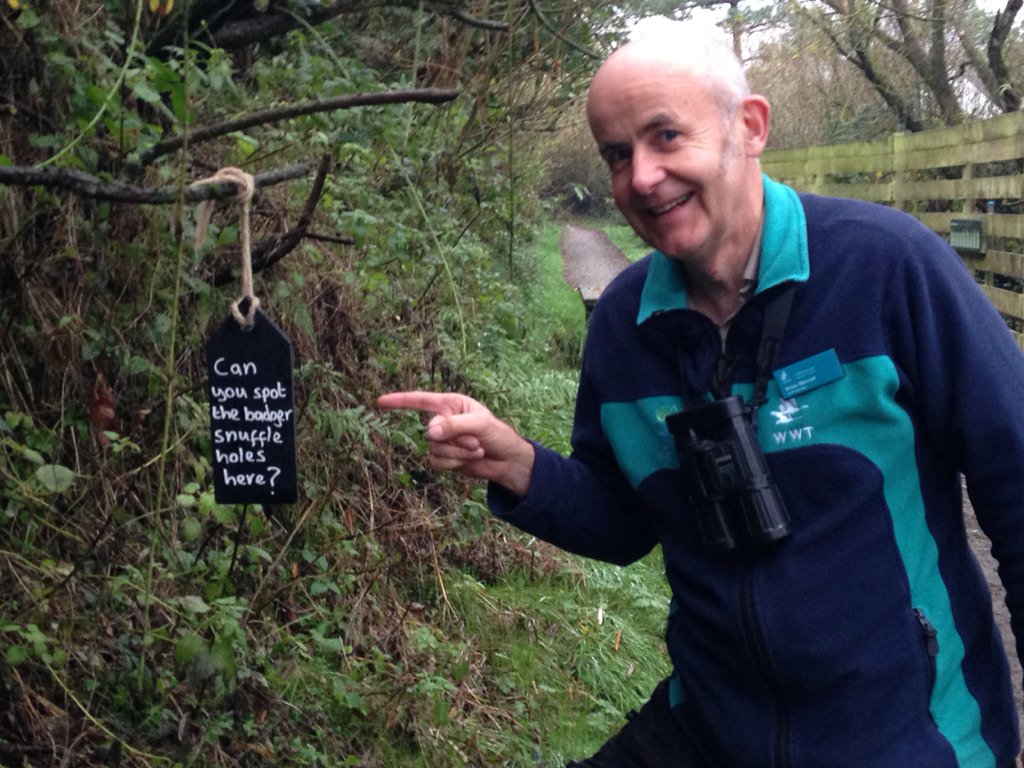 WWTCaerlaverock's tweet photo. How do badgers look for food? They snuffle. Every day they're snuffling! #Autumnwatch @BBCSpringwatch https://t.co/ttNmKmVpFG