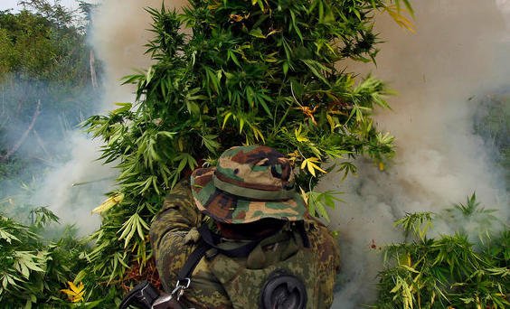inside_cannabis's tweet photo. The legalization of weed in Mexico may be on the horizon, as the Supreme Court vote... https://t.co/p7kxH02vWR #news https://t.co/nc6EZDKvwk