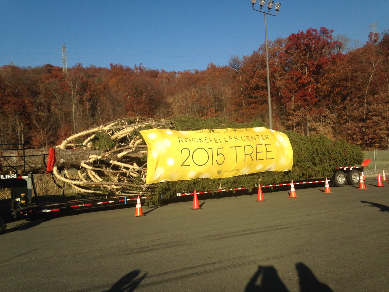 Rockefeller Center on X: 10 tons of #RockCenterXMAS Tree is loaded up and  ready to roll. Goodbye Gardiner, NY, hello #RockCenter!   / X