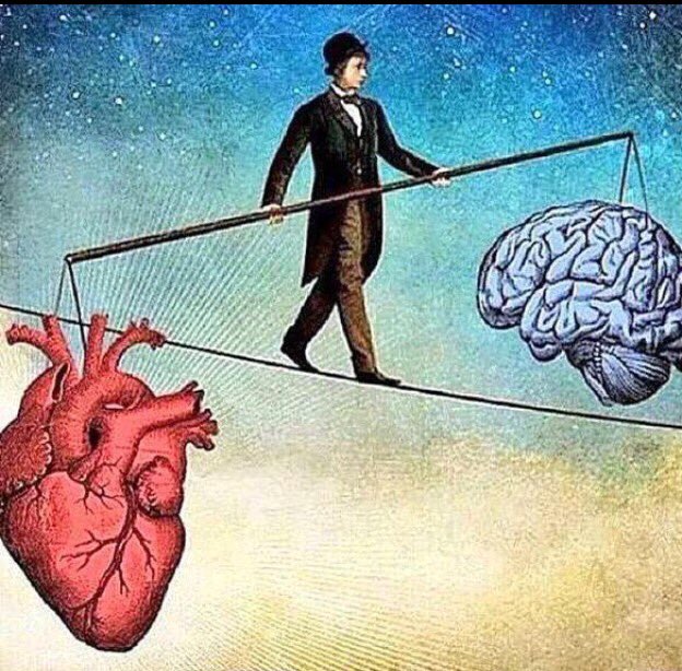 Yaşar Al tweet media