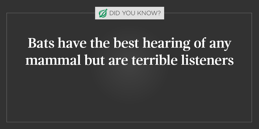 TheOnion's tweet photo. For more exemplary journalism, visit https://t.co/csf5QTTFPD. https://t.co/jjirGvGjuM