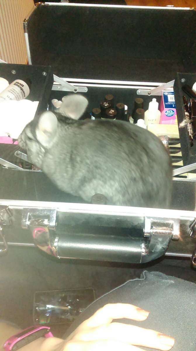 Little helper! #manicure #prettynails #prettynailsdiy