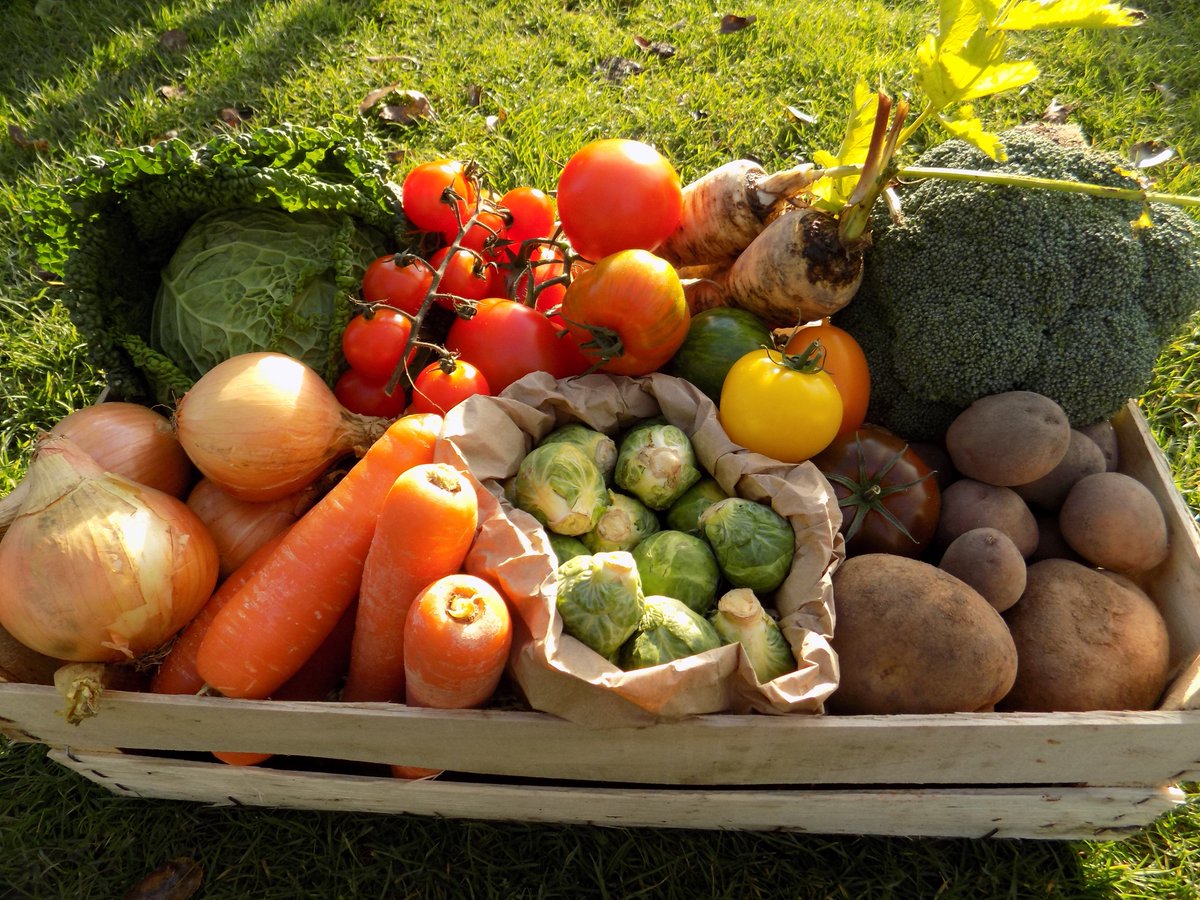 LeamingtonRocks's tweet photo. Retweet &amp; register on the Food Assembly website to be in with a chance of winning this fantastic veg box! #loveleam https://t.co/pKQnHubFnD