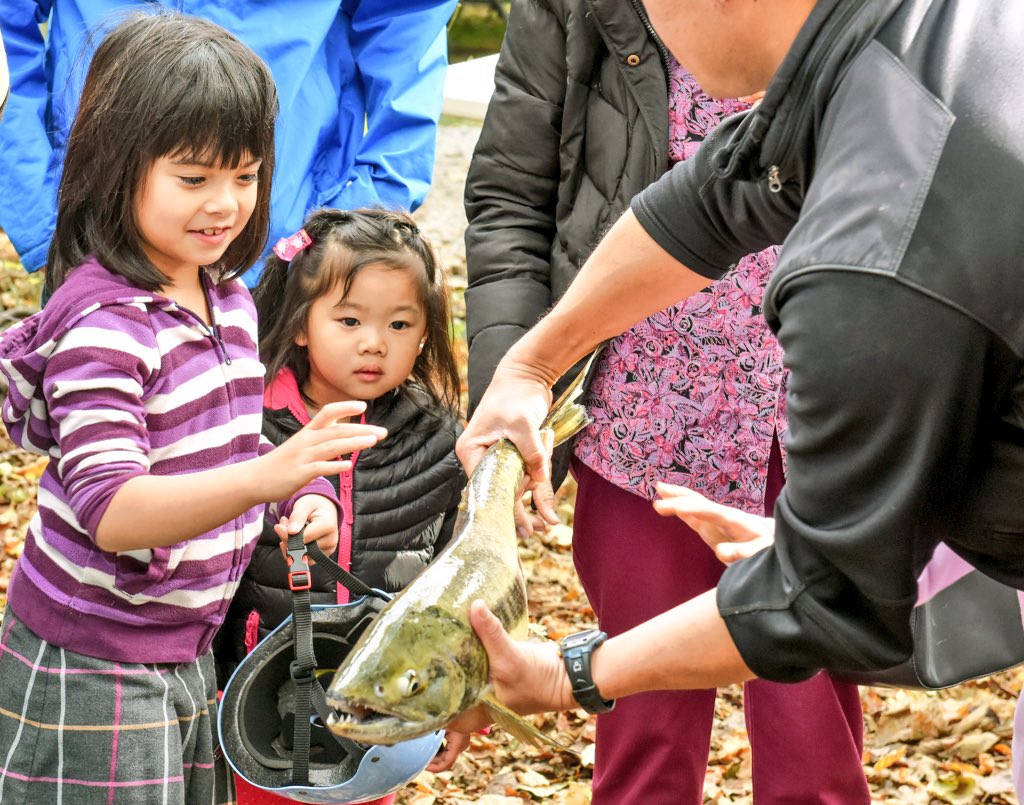 PSF's tweet photo. RT @PSFcory: @PSF supports salmon education programs across BC to teach kids the importance of healthy ecosystems https://t.co/TWYK4izgnu