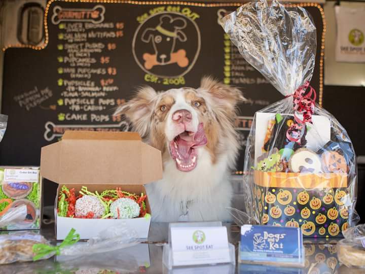 Thanks so much to <a href="/nashvillepaw/">Nashville Paw</a>  for the wonderful photo of the See Spot Eat taste tester, Radnor!
