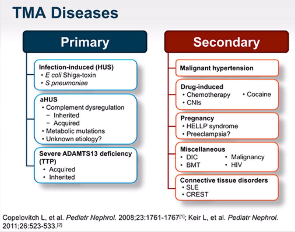 Image result for microangiopathy