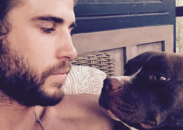 enews's tweet image. Awww! Celebs share why they adopted their pets: eonli.ne/1KFH2SL