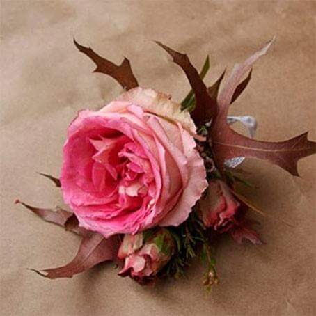 FardegliUbert's tweet photo. Amo il "non maggio" delle rose ottobrine #scritturebrevi https://t.co/TWsj7fVER6