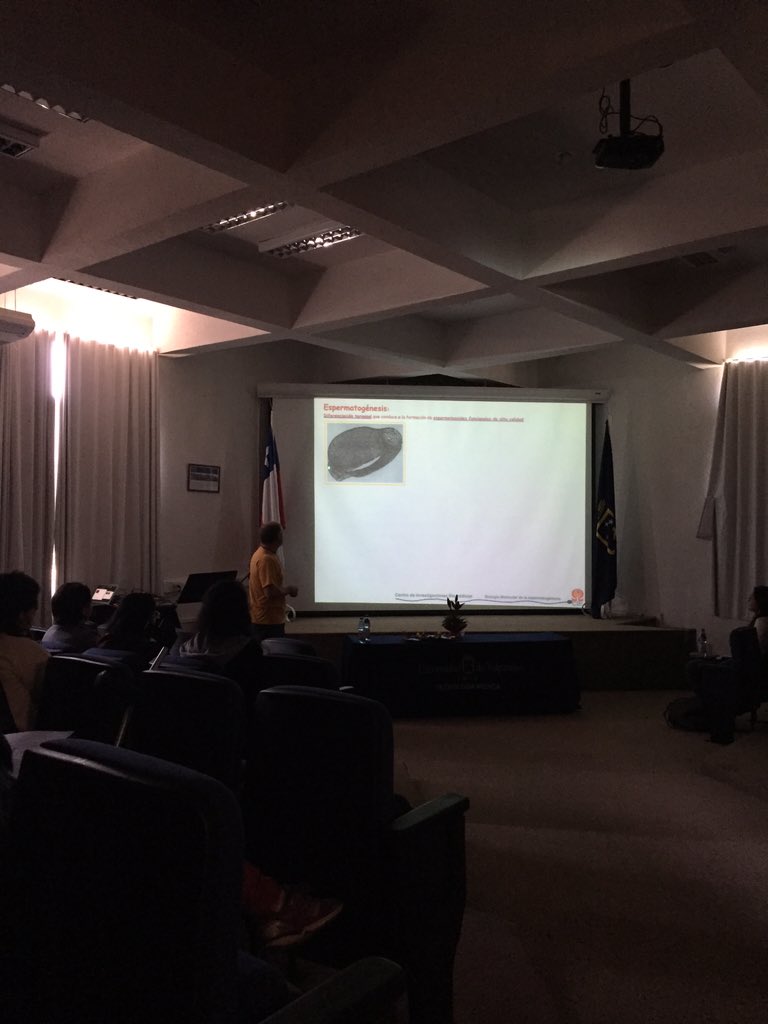 CetemuvSF's tweet photo. Expone Dr. Mario Párraga San Román sobre Efectos moleculares de aumento de temperatura en testículo #JornadaTMUVSF https://t.co/Erau1jvqGt