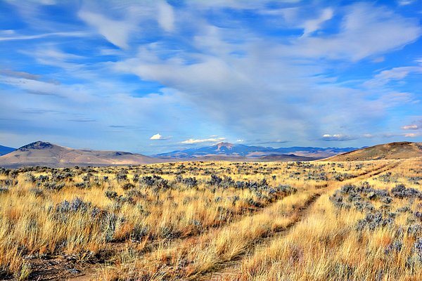 BaezaN81's tweet photo. New artwork for sale! - "Big Sky Country" - https://t.co/hJQu38yW9R @fineartamerica https://t.co/yjYHGKXhC8