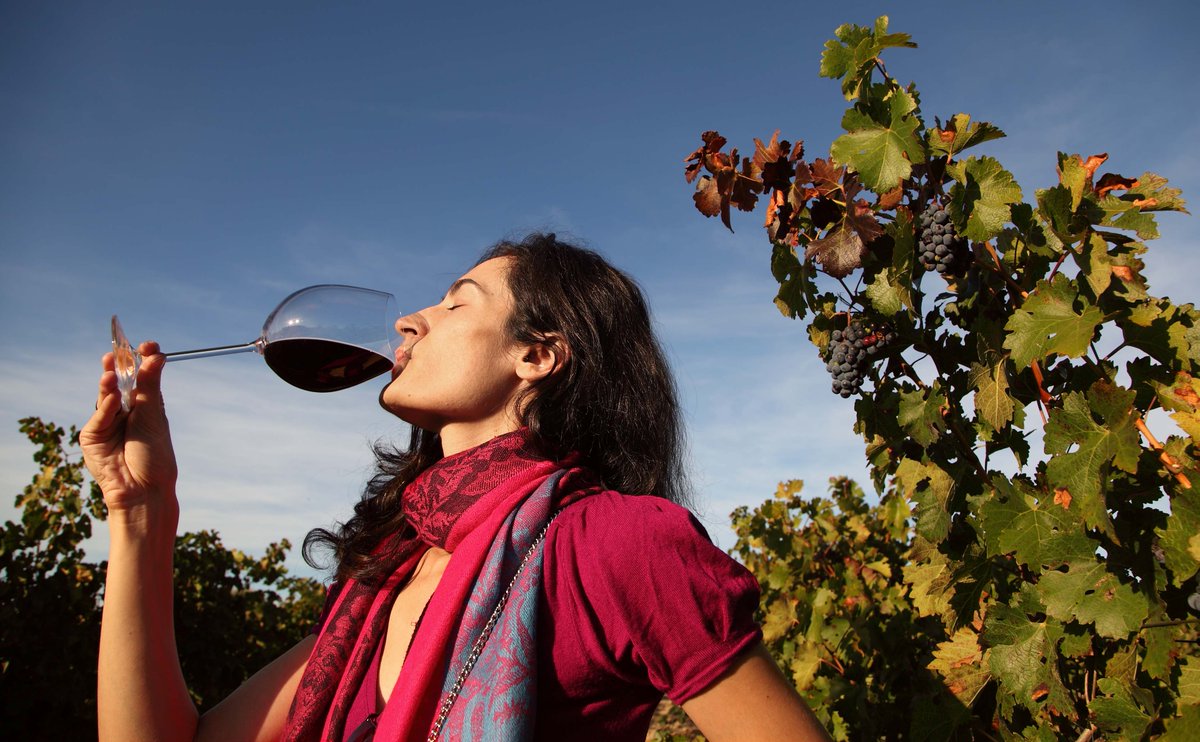 EspanaEnLatam's tweet photo. Experiences beyond wine
https://t.co/NeTrtMCfKi
@MarcaEspana
#tourism #winery #wine #experience #visitspain https://t.co/zNmvMl6vpX