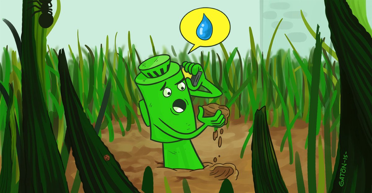 eldefinido's tweet photo. Sistema de riego inteligente creado en Chile ahorra hasta un 60% de agua
https://t.co/URry3lSv6v https://t.co/0MGBwMfG7Y