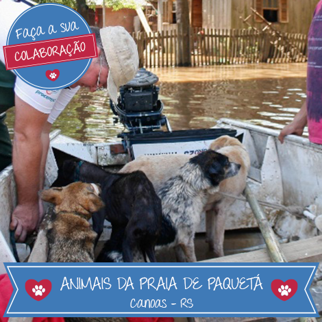 Bicharia's tweet photo. E aí, vamos ajudar os animais que sofreram bastante com as chuvas no RS? Acessa aqui: https://t.co/EPc3hIf2RW https://t.co/wvP1oUfDgJ