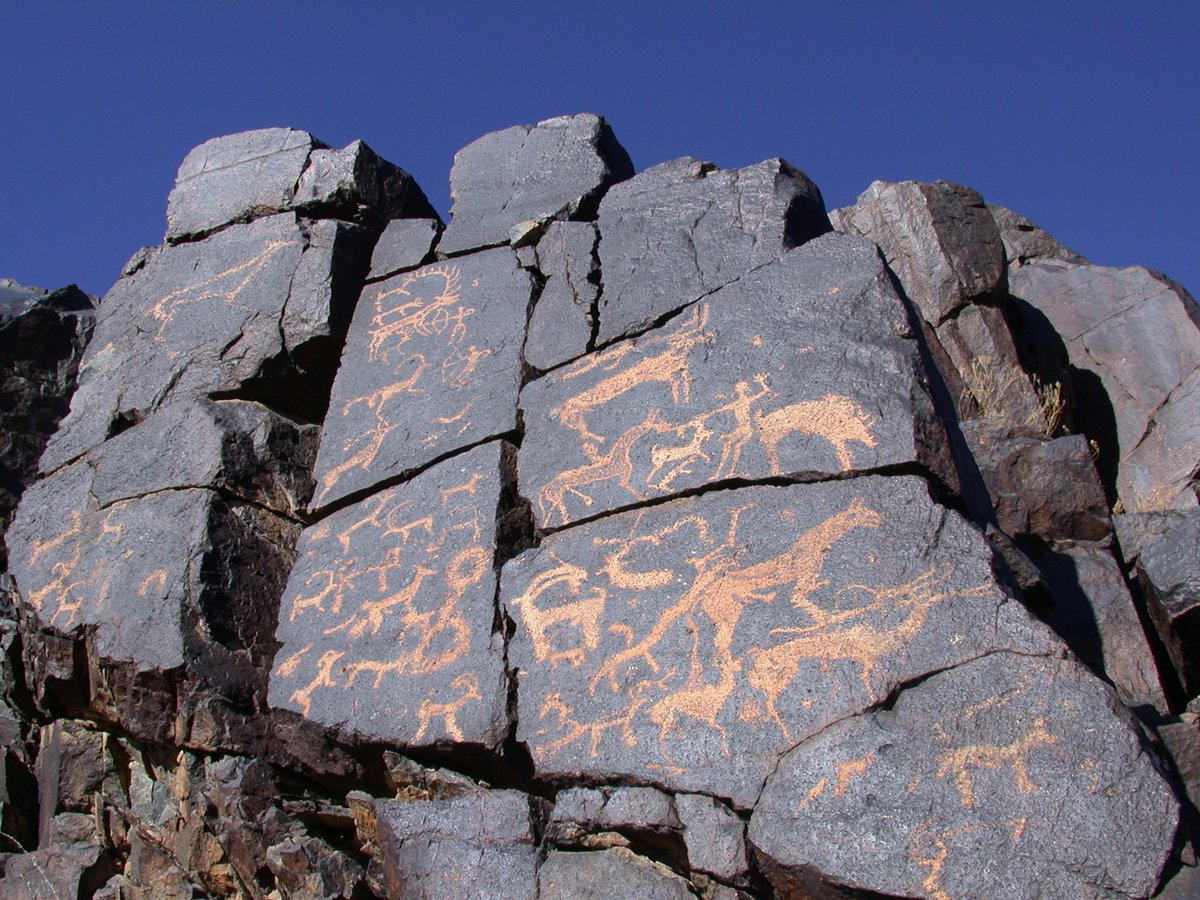 Gobi desert, #Mongolia - petroglyphs attest to a long human history in an amazing landscape https://t.co/cuAuny51Xx