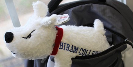 hiramcollege's tweet photo. Happy National Plush Animal Day! We'll be giving away 3 plush Terriers today to celebrate! https://t.co/XjOGrXymMZ