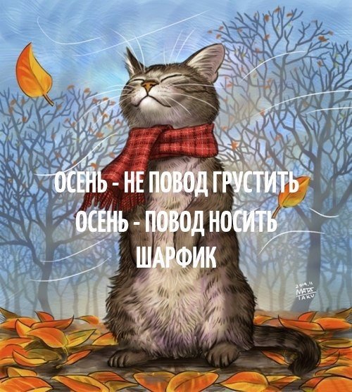 shura0612's tweet image. 