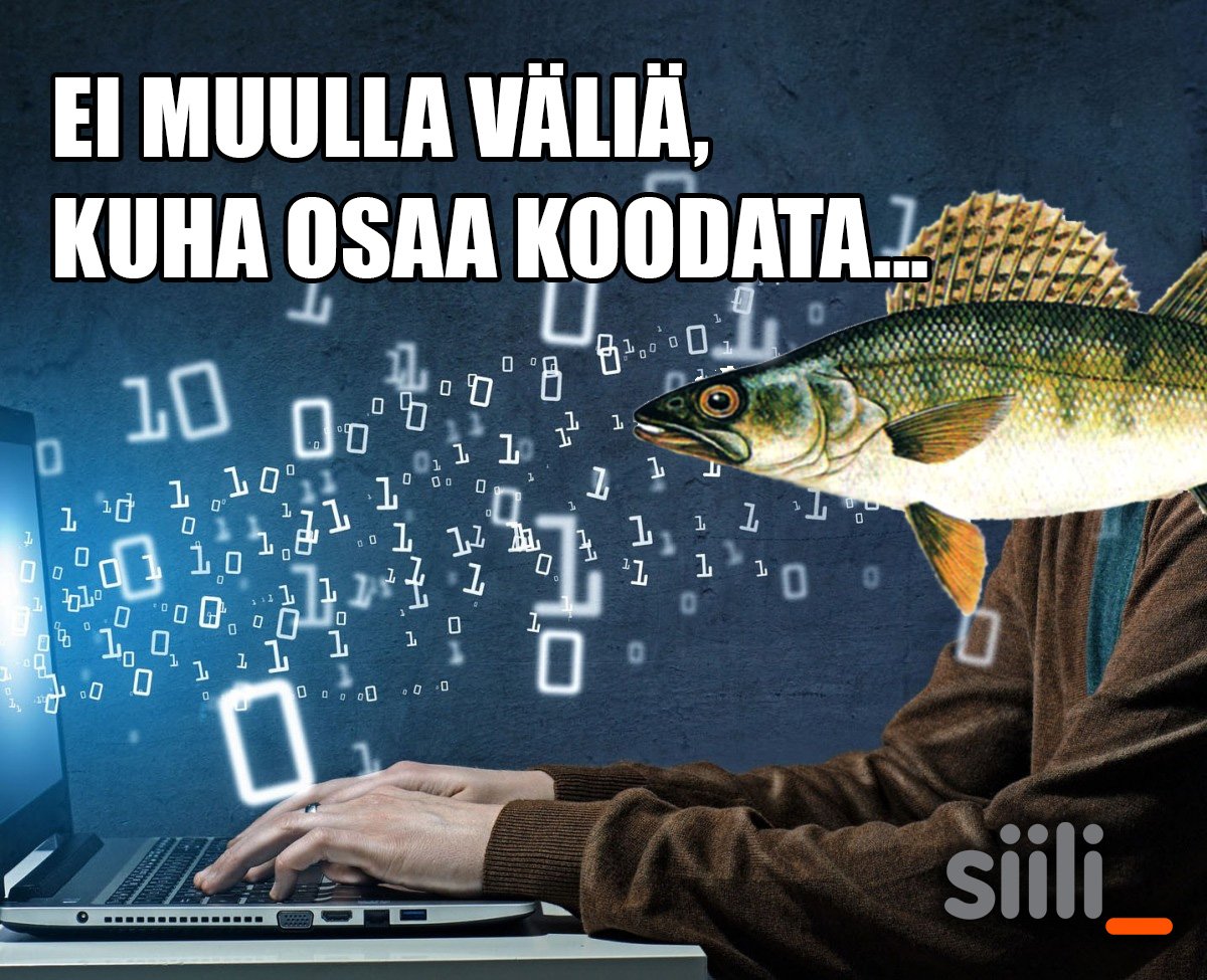 Ei muulla väliä, kuha tulee Siiliin siili.com/careers.html #kuha #rekry #java