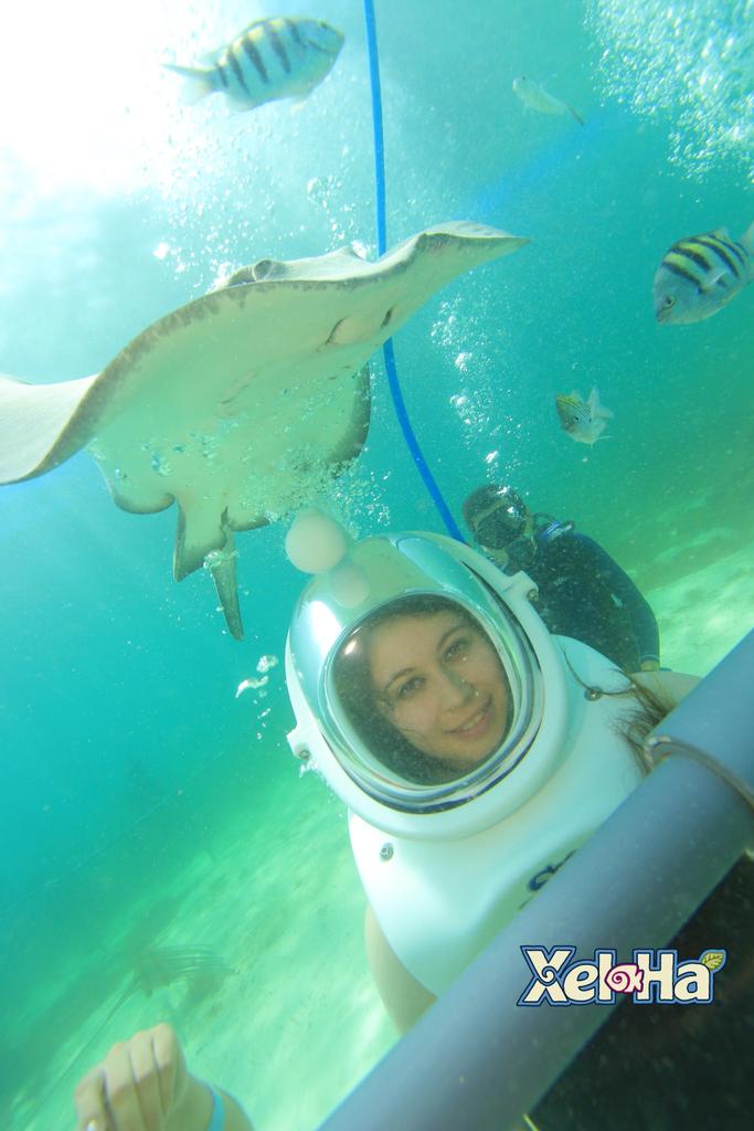 Adlai15's tweet photo. Xel-ha #cancun #riveramaya #seatrek  #mybestday @BestDay_Travel https://t.co/LRvFYXeOLc