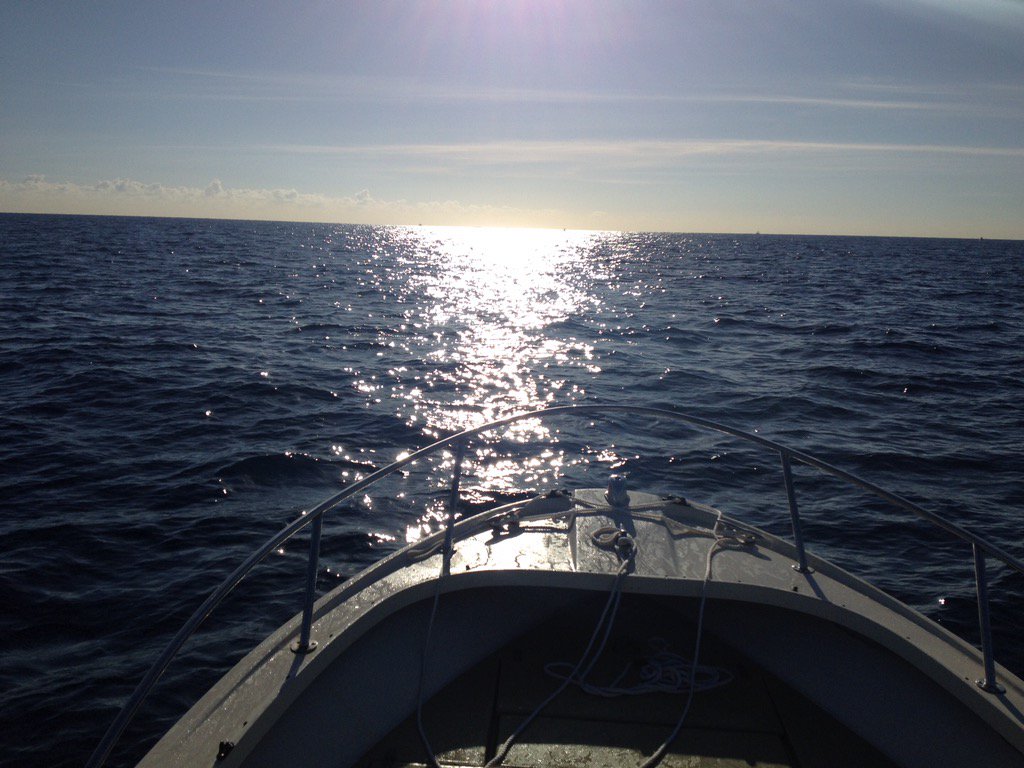 TheAvidBoater's tweet photo. Happy Wish We Were Here Wednesday! #SayNoToPhone #OffshoreForLife #Boating #AvidBoater https://t.co/C9HgLcFS1m