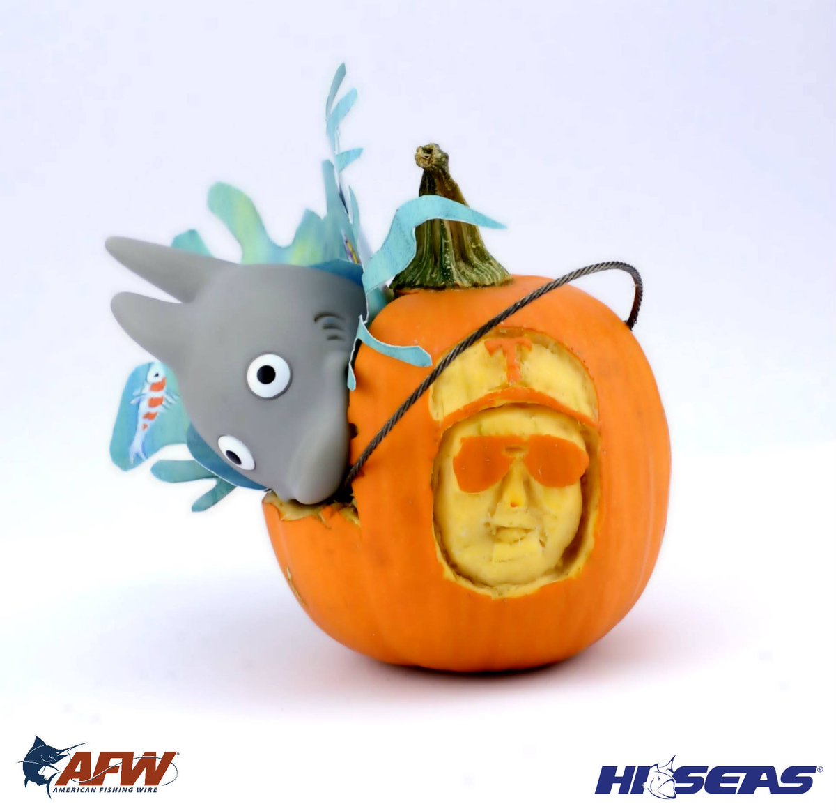 Bill Dance tweet media