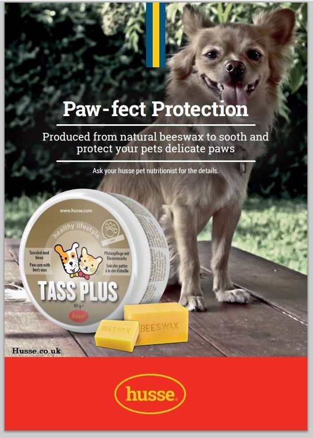 husseinverness's tweet image. Look after little paws this Winter for under a fiver @husseinverness #dogs #Inverness #saltyroads