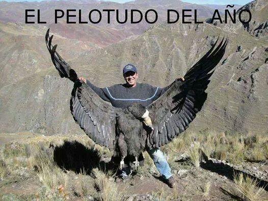 Ecogranjero's tweet photo. #ELPELOTUDODELAÑO mato a un condor andino en extinción y posa sonriendo como un idiota. https://t.co/GQxCtC2NcF