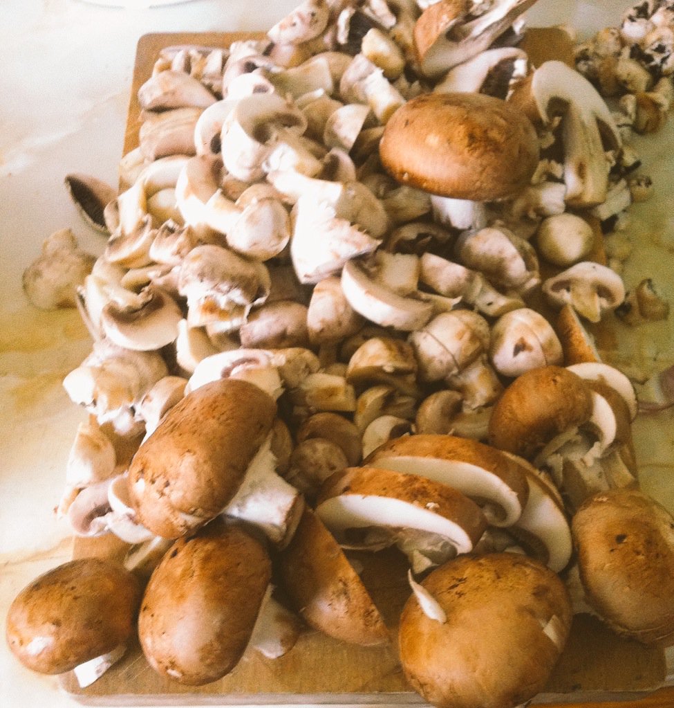 nutritionabc's tweet photo. Mushroom fiesta!! #nutritionabc #glutenfree #fatfree #vitaminD #calcuim #riboflavin https://t.co/sm7G0mcbxw