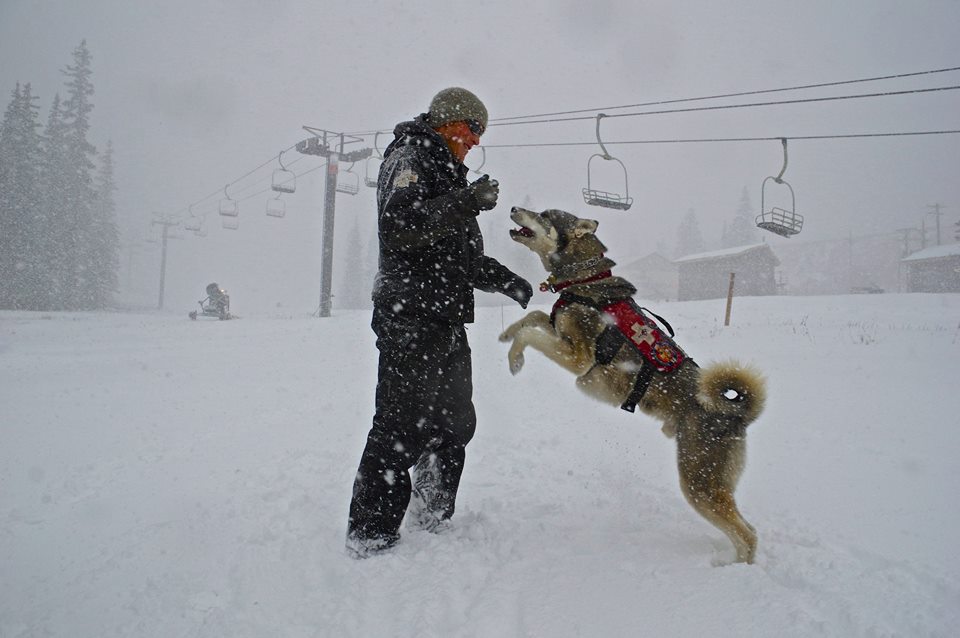RomeSnowboards's tweet photo. That feeling when you realize @LovelandSkiArea opens tomorrow, also you are a dog. https://t.co/ip3oNCsnt7