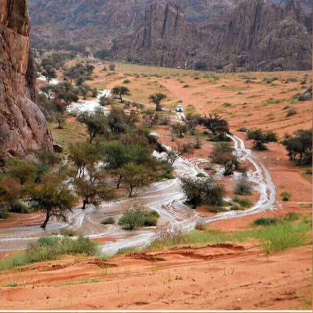 ����� ���� �������