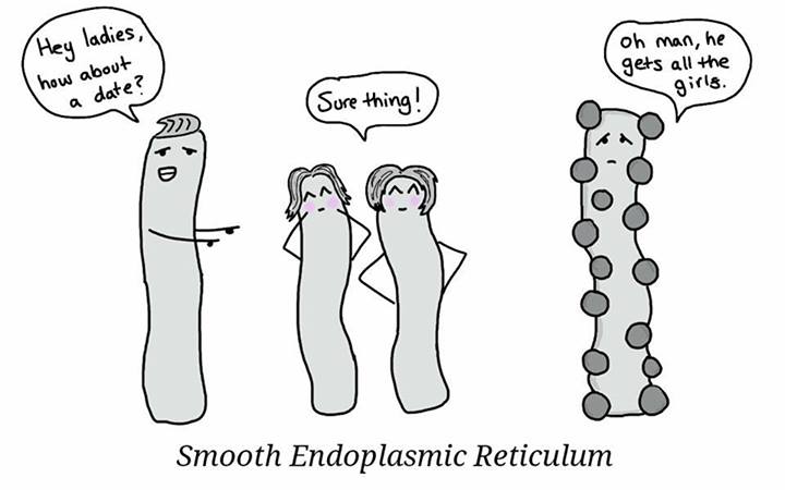 madscience_lon's tweet photo. #funny #madscience https://t.co/GOSIL0WsGl