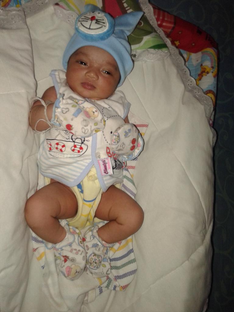 ewik hippo!! tweet media