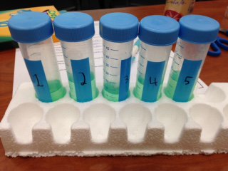 GranvilleSTEM's tweet photo. Whats SNOT to like? @GCPSchools learning about mucus from @moreheadplanet  and @UNC #freelabmaterials #btg2015 https://t.co/qNSOL6OSdk