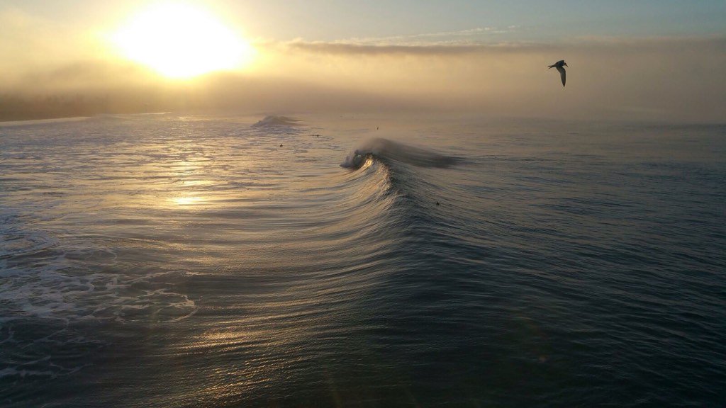 nuttybutty's tweet image. Good Morning Huntington Beach #HuntingtonBeach