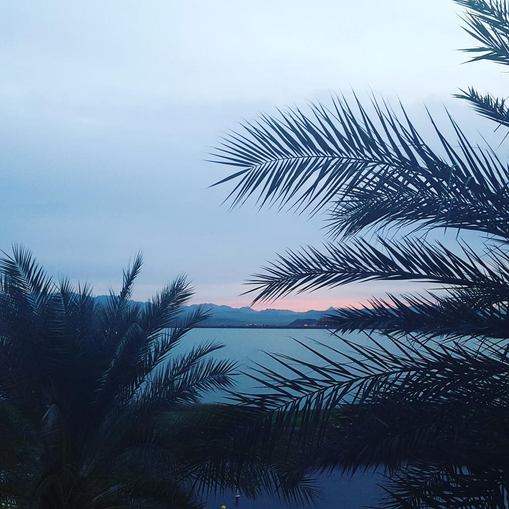 TeleTracking's tweet photo. Beautiful sunrise over @WestinLakeLV. Very sad to see #TeleCon15 come to an end today! https://t.co/BAHJmbEhVK