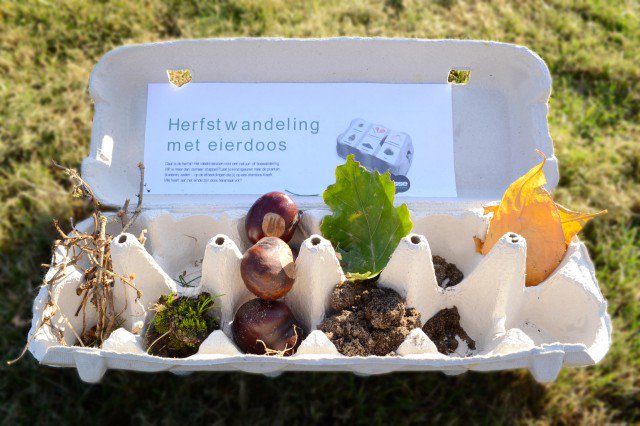 kinderhulp's tweet photo. Wil je een wandeling met je kinderen nóg leuker maken? Maak een schatkist-herfstwandeling! https://t.co/wZpMHMPjK9 https://t.co/G0D7coTZnI