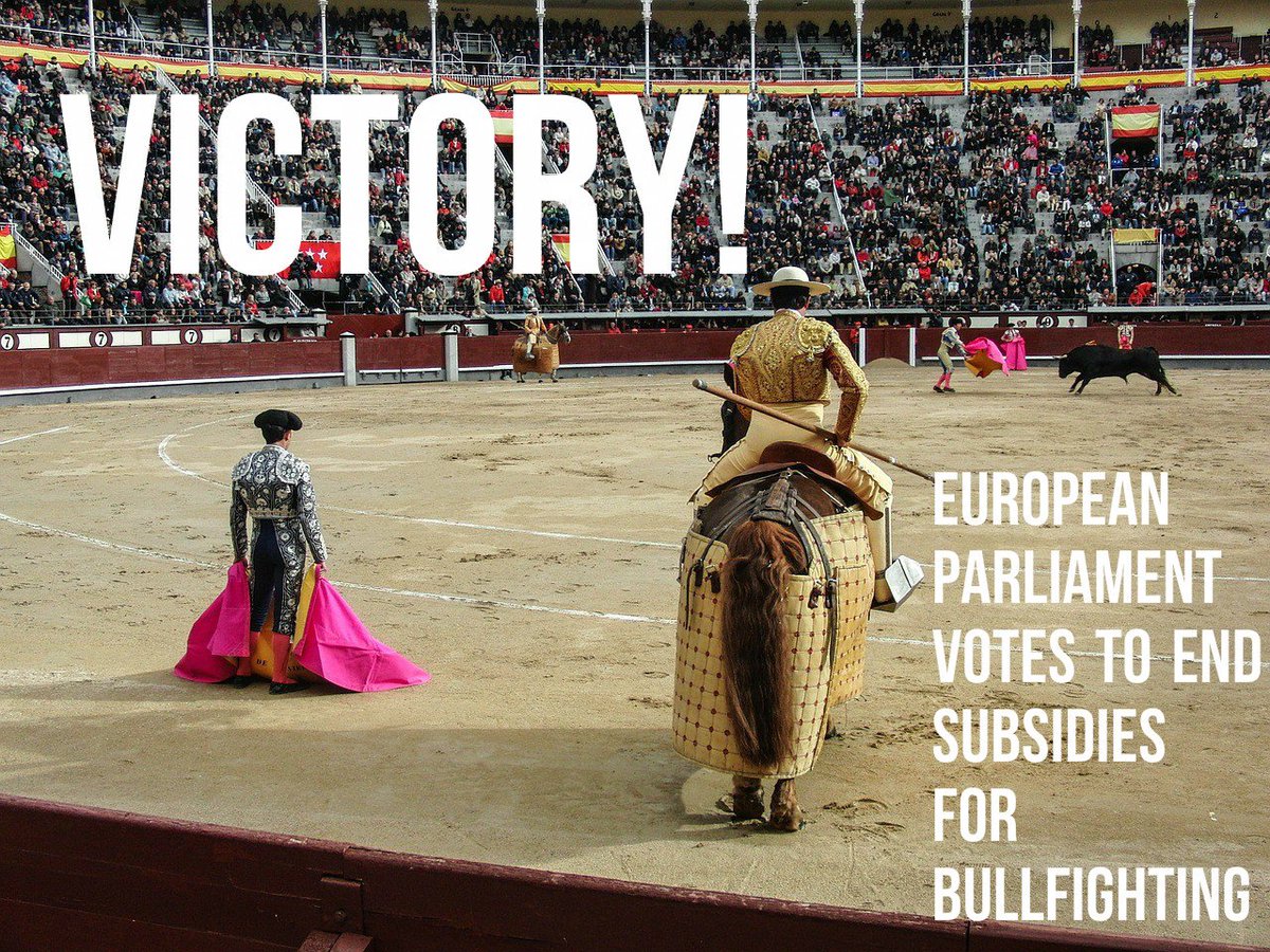 PETAUK's tweet photo. @rickygervais HUGE victory today as MEPs voted to end EU subsidies for bullfights! https://t.co/0BLWavIRb7 https://t.co/qaQCmEI9Vs