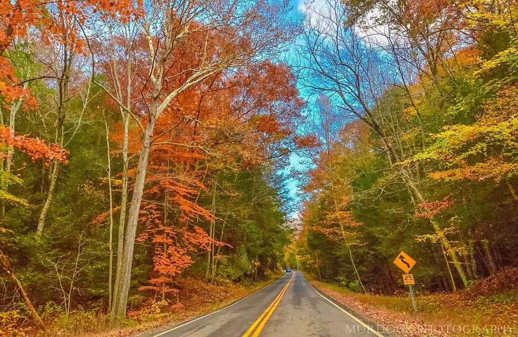 MurdockPhotosWx's tweet photo. @NikonUSA The best state to photograph fall foliage with Nikon Cameras is my Home State of Ohio! #NikonFallOH https://t.co/kDlWuBj9F4