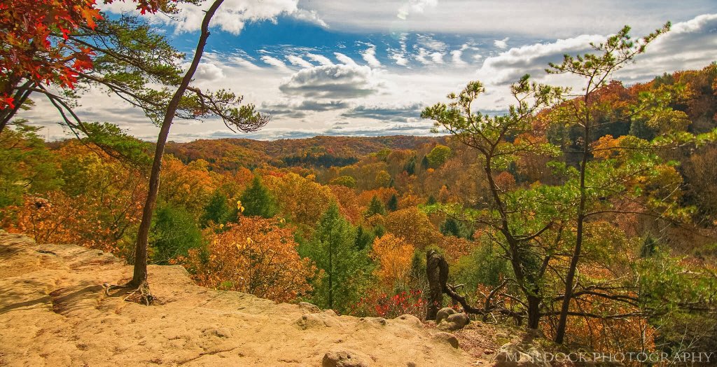 MurdockPhotosWx's tweet photo. @NikonUSA The best state to photograph fall foliage with Nikon Cameras is my Home State of Ohio! #NikonFallOH https://t.co/kDlWuBj9F4