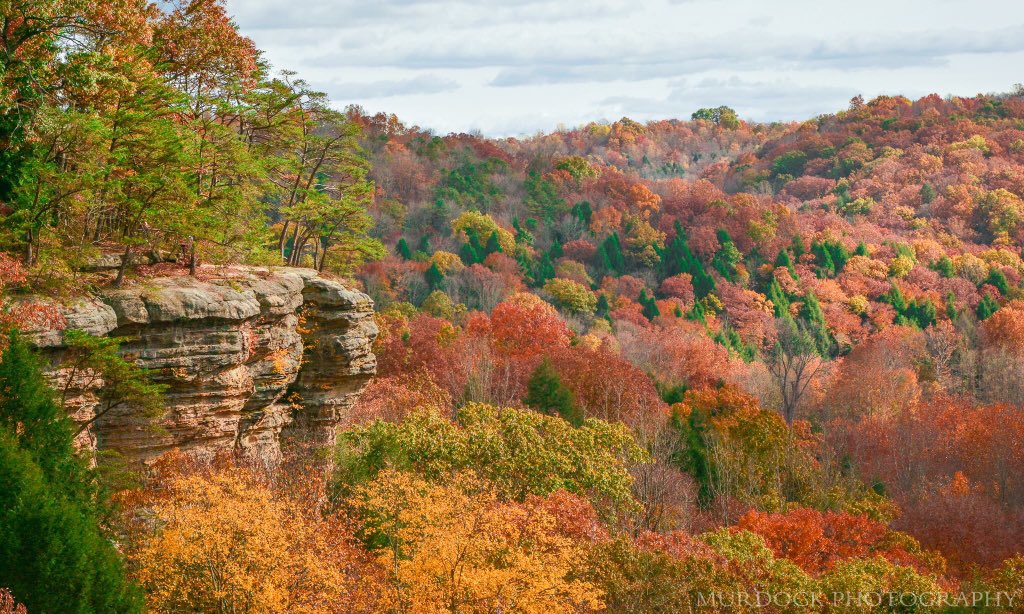 MurdockPhotosWx's tweet photo. @NikonUSA The best state to photograph fall foliage with Nikon Cameras is my Home State of Ohio! #NikonFallOH https://t.co/kDlWuBj9F4