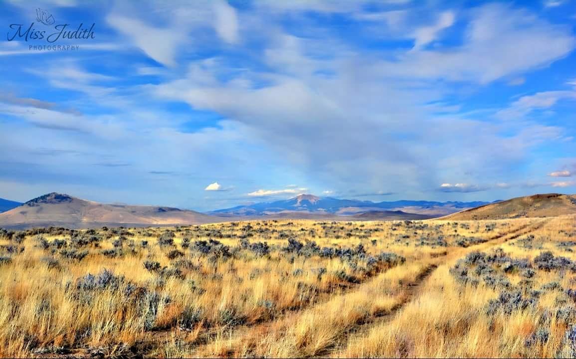BaezaN81's tweet photo. #montana #bigskycountry #montanamountains #thegreatoutdoors #rockymountains #rockies https://t.co/PFsne2ZK3o