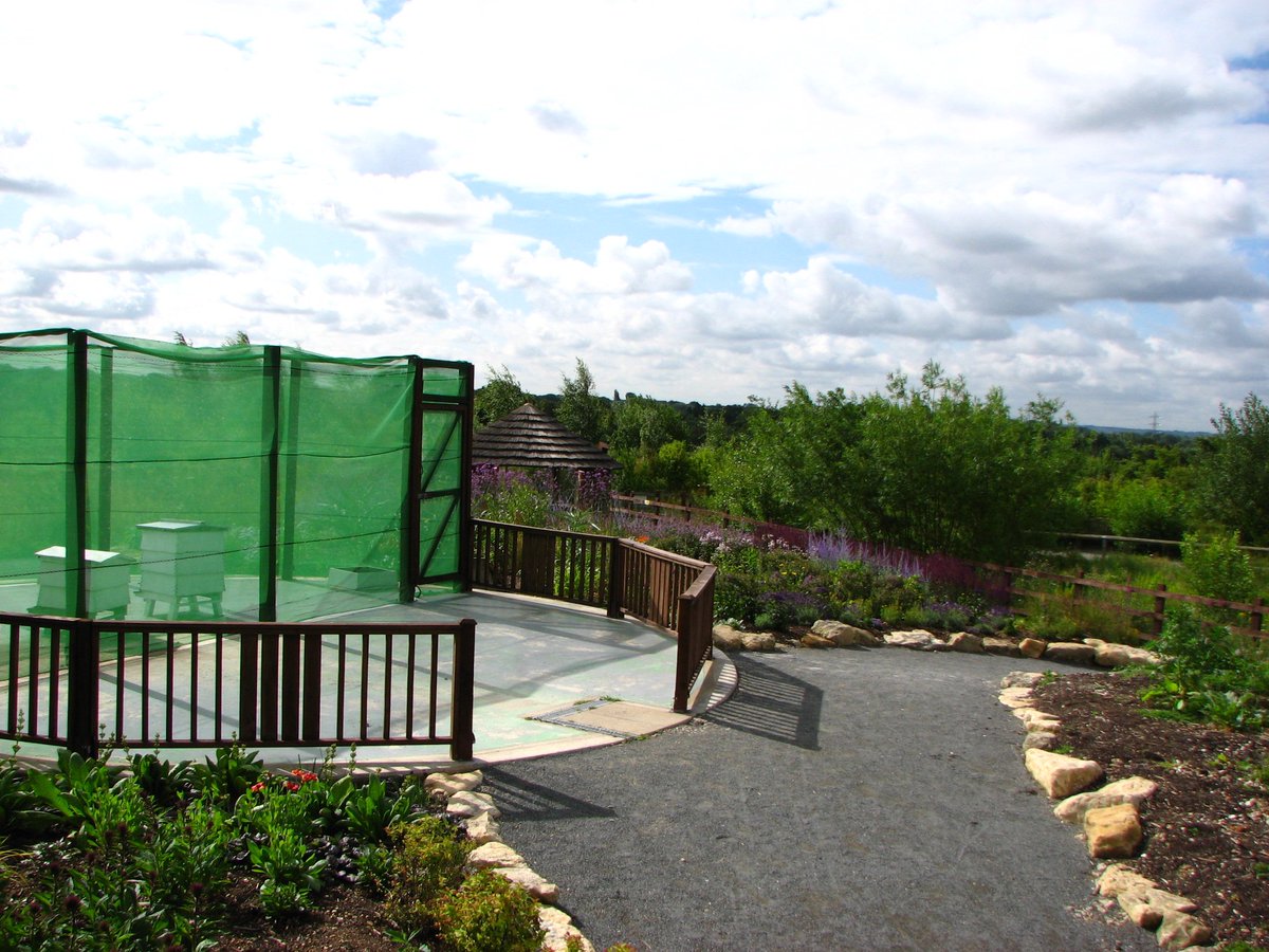 Our bee garden was all a buzz this summer so we look forward to a sweet honey reward soon! #NationalHoneyWeek