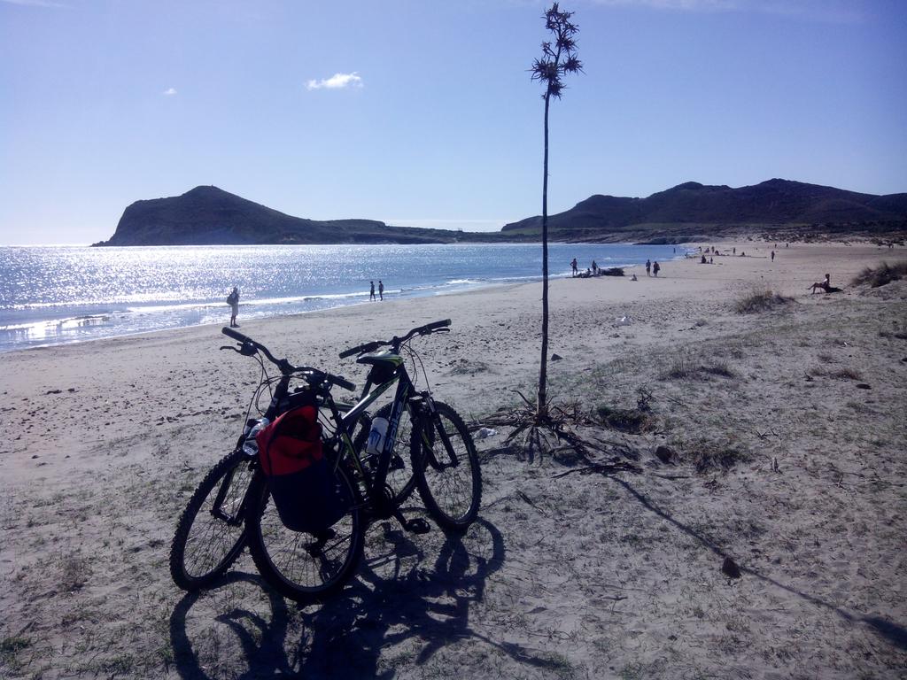 chumbera_'s tweet photo. #octubre , #noviembre ... Así es el sur y así se vive con @chumbera_  en @CabodeGataNjar https://t.co/v26aH5vzBH