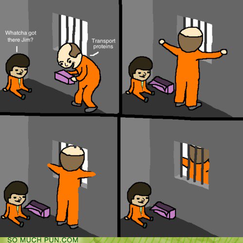 thenucleusbomb's tweet photo. How to go through the cell wall https://t.co/vSfivESIVM