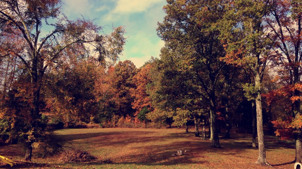 T_Wells56's tweet photo. This view at work 😍🍂🍁 #FallFan https://t.co/agg1yidy3C