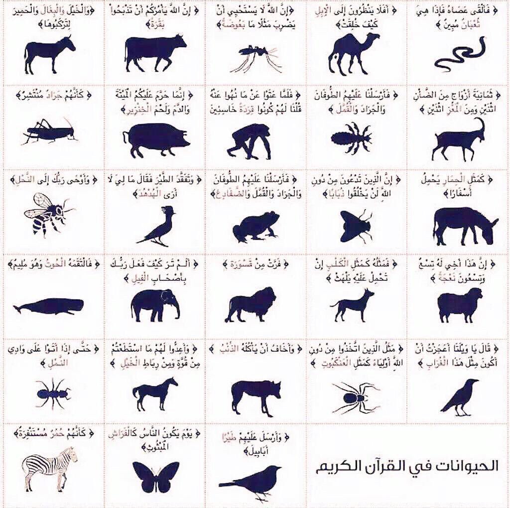 G_alsh3r's tweet photo. الحيوانات التي ورد ذكرها بالقران الكريم. https://t.co/wVwn7PKUHV