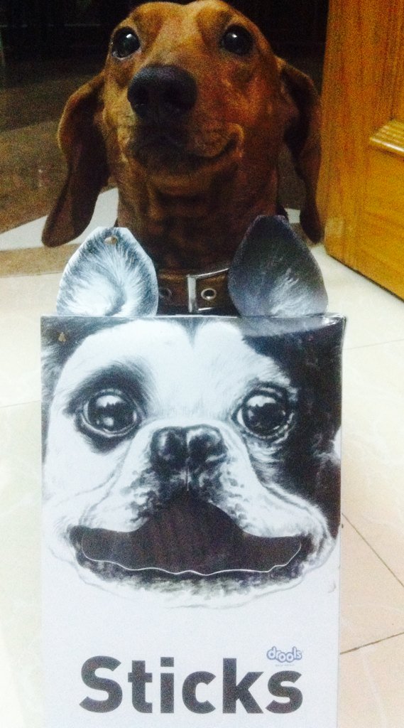 ParasGrewal's tweet photo. #Mauzer posing with his #ChickenSticks @BadassNemesis 😀🐶🍗 https://t.co/CqkGjMv9Lx