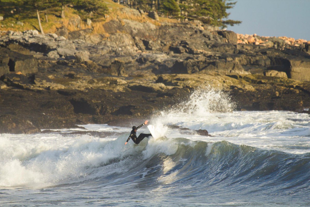 Levitate tweet media