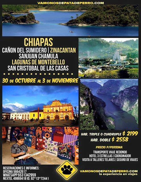 vamonosdepatade's tweet photo. @rtpublicidadmx RT Viaje a Chiapas 
30 oct al 3 de nov
Transporte+hotel $2199
Tel 56642617
https://t.co/mXpenl4nis https://t.co/ckYE204DSW
